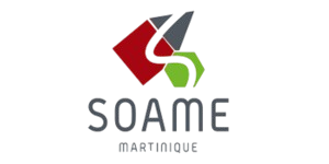 Logo Soame